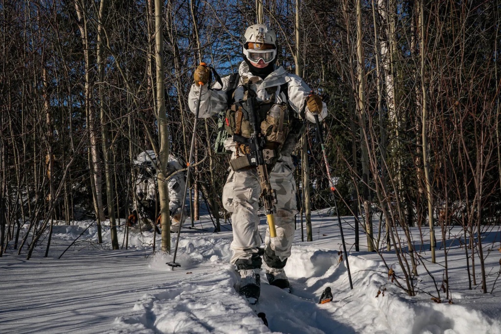 Modern-day soldiers on skis making their way through a wooded area on a combat exercise.